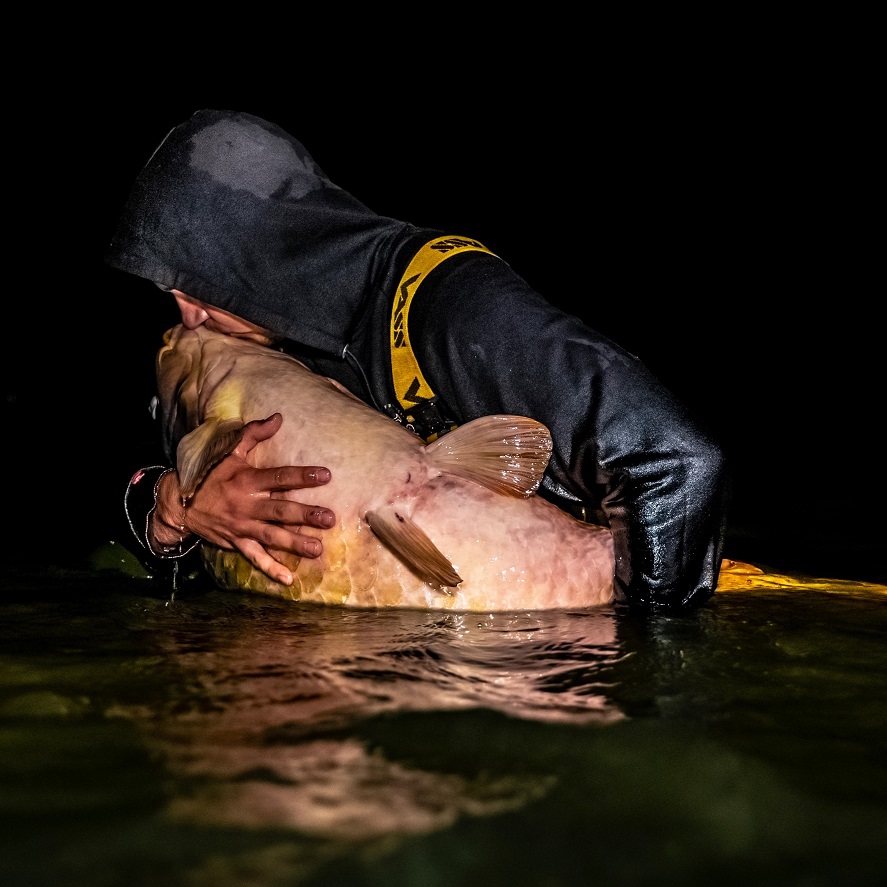 Boilies na giga kapry Eko Baits: nově na Fishmax