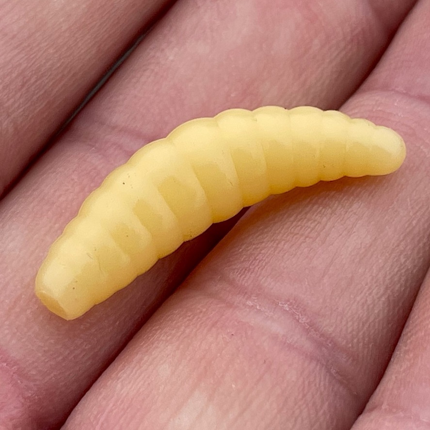 Gumy na pstruhy: gumové larvy slibují úspěch