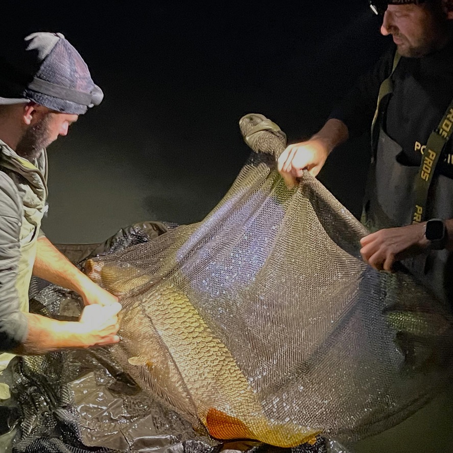 Kaprařina: jak přilákat největší kapry? Zkuste tohle