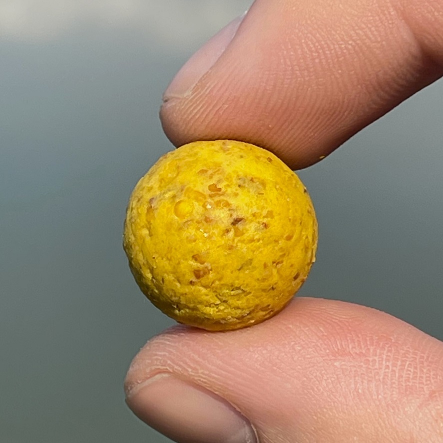 Boilies na kapry z kukuřice: trumf od Karla Nikla