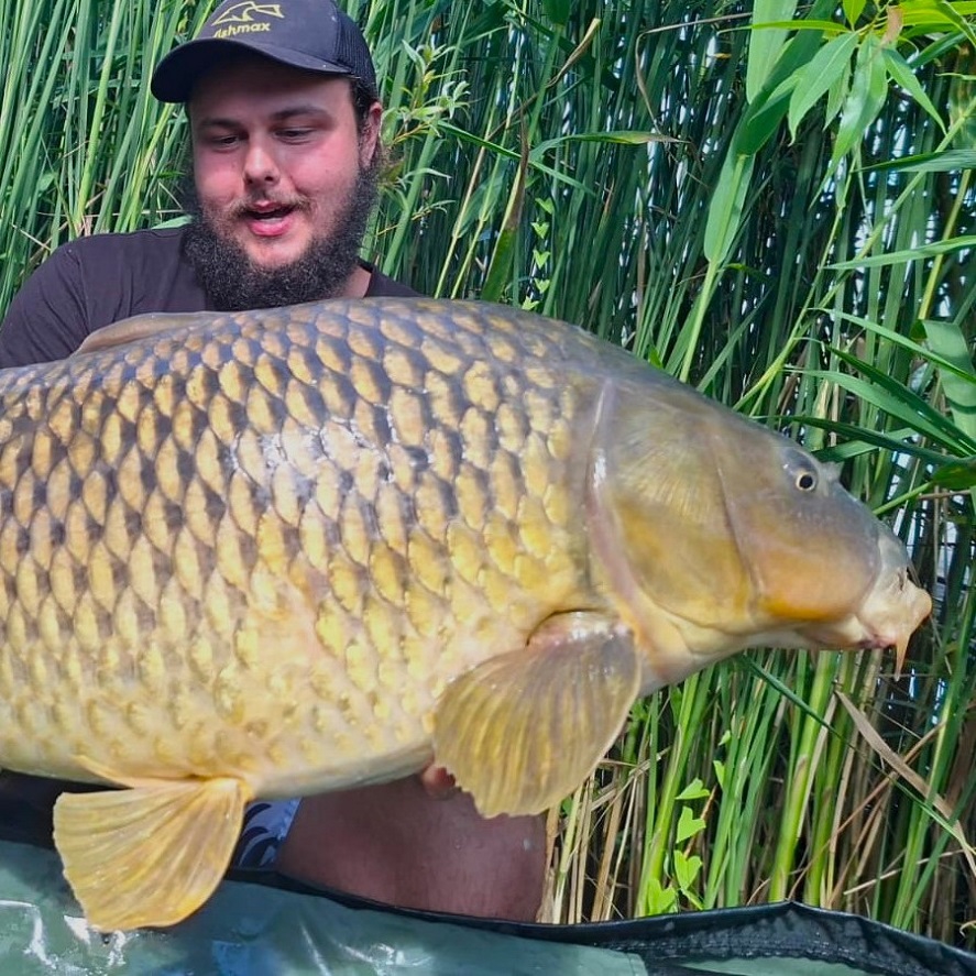 Jednoduchá montáž na kapry na boilies: jak na to