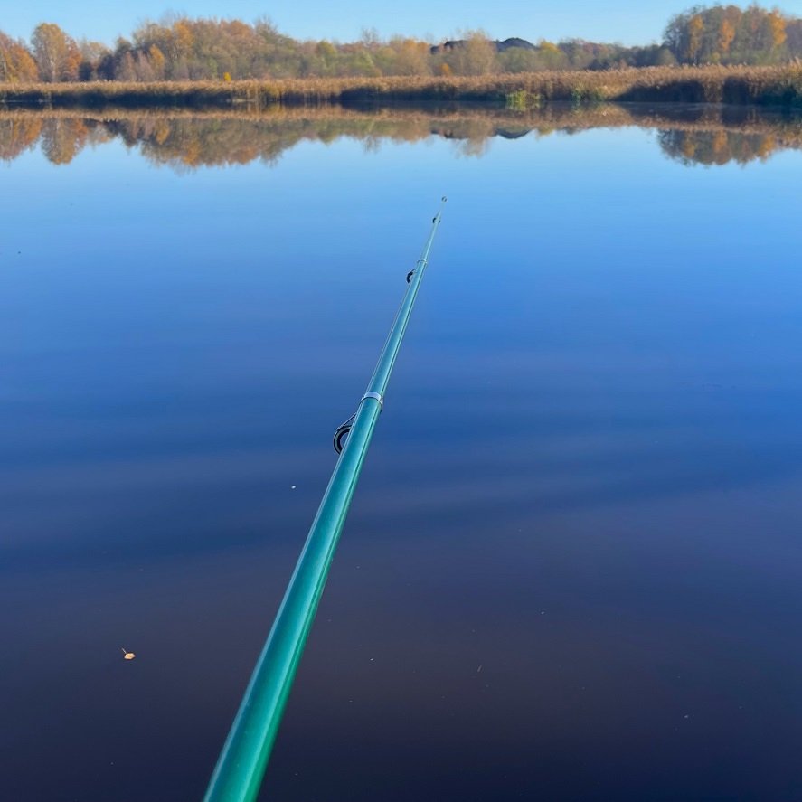 Pruty na kapry a další věci na krmítko: co potřebujeme