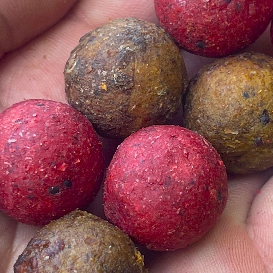 Boilies na kapry: jak vybrat boilies? Tady je zamyšlení