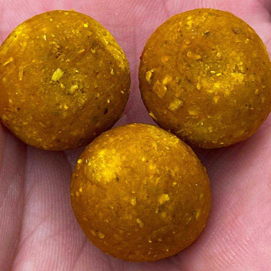 Boilies „plné medu“: tradiční příchuť nezklame