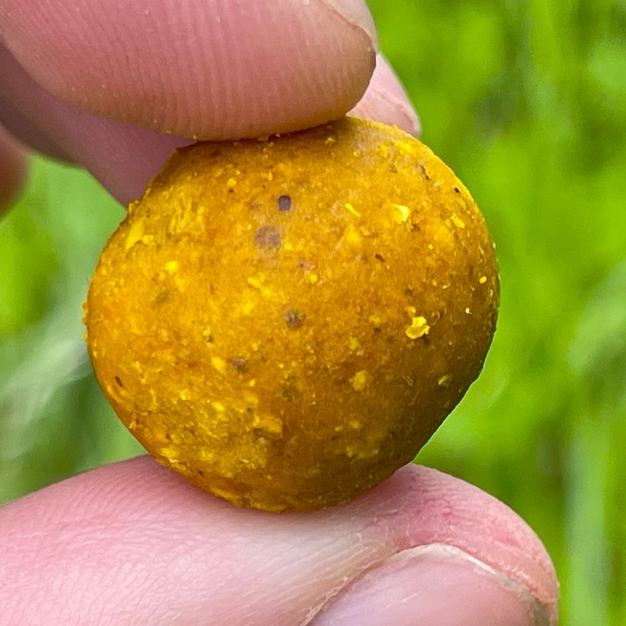 Sladké boilies na letní kapry: silná vůně medu