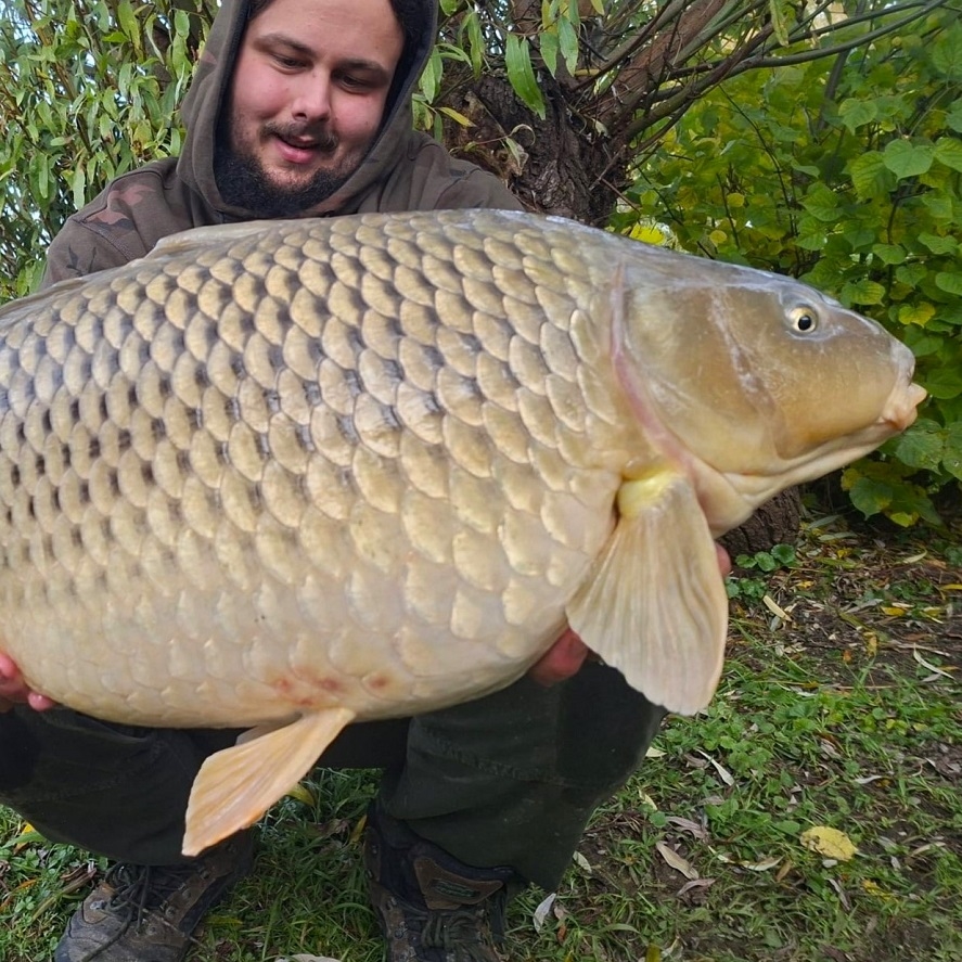 Nejlepší boilies na podzim za nízkou cenu