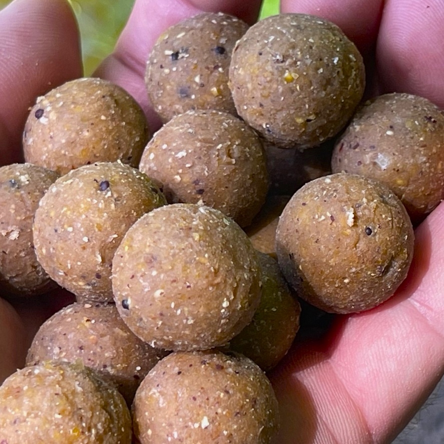 Boilies Shimano z tygřích ořechů: unikátní vůně oříšků