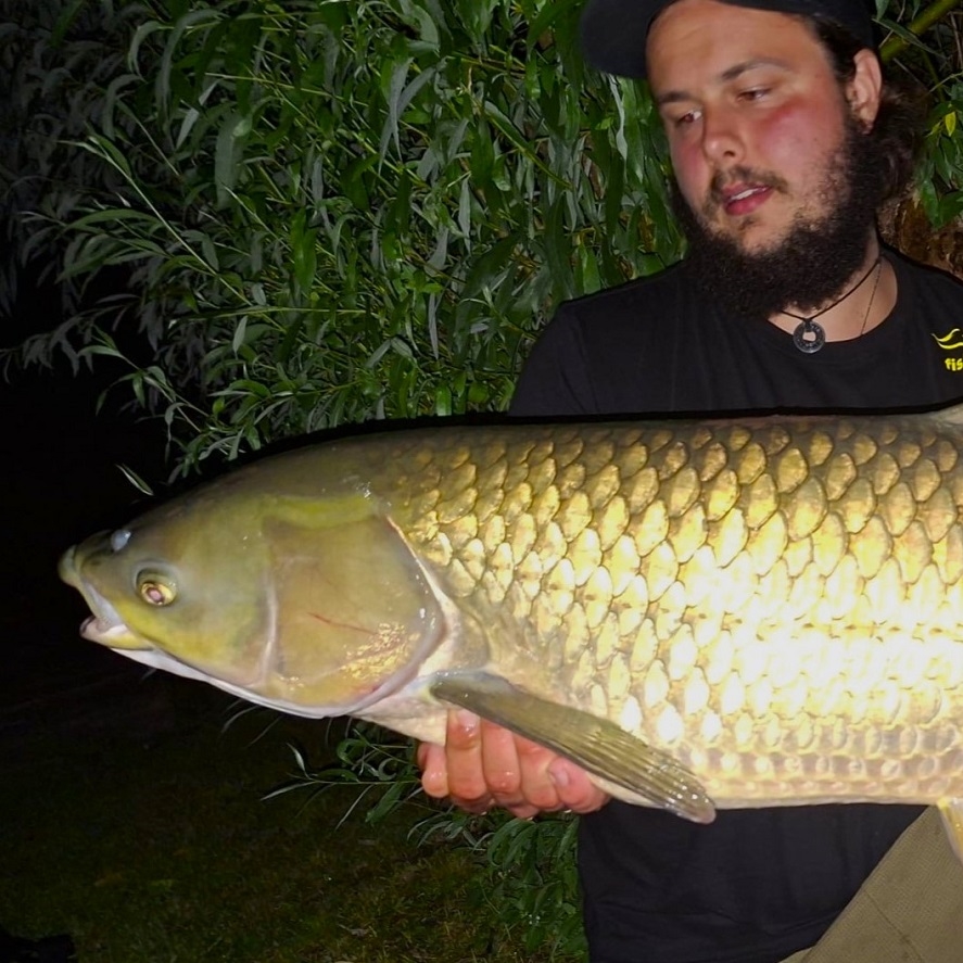 Pelety na amury: neodolatelná vůně mirabelek
