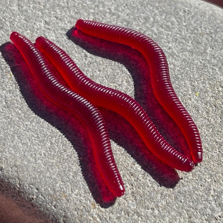 Gumové žížaly na pstruhy: vypadají jako živé