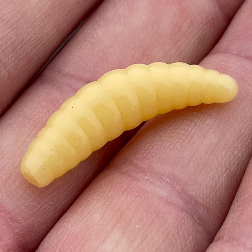 Gumy na pstruhy: gumové larvy slibují úspěch