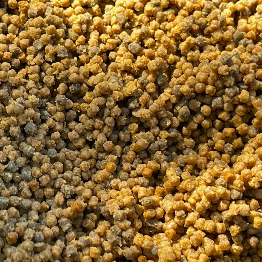 Karamelové pelety na method feeder: kapři neodolají