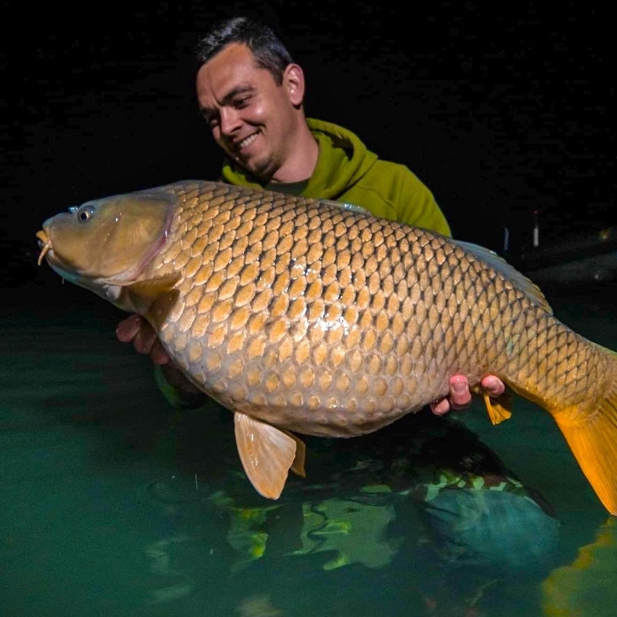 Kvalitní krmné boilies: vydrží ve vodě delší dobu