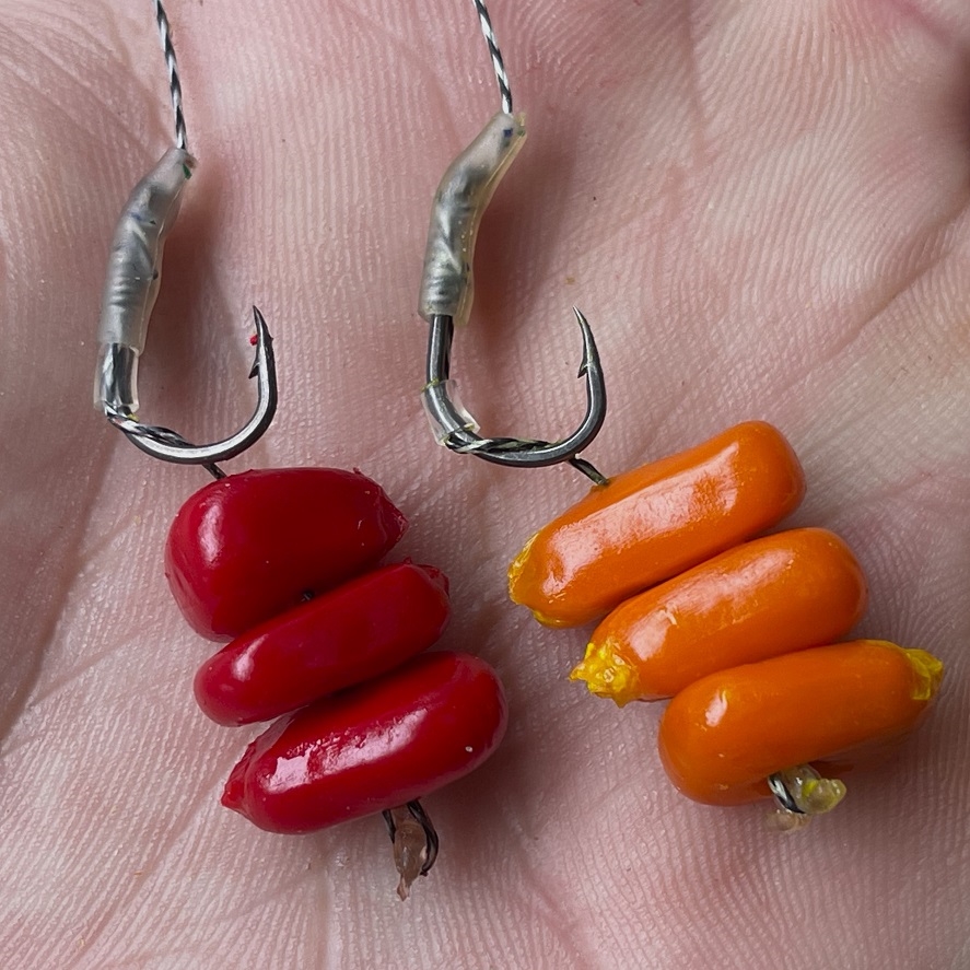 Kukuřice na amury: jak používat kukuřici na amury