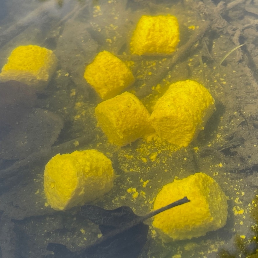 Pelety z kukuřice: jsou lepší než tradiční kukuřice