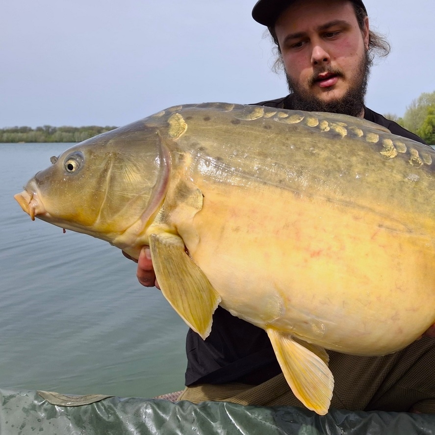 Návod na levné krmení na kapry: tohle funguje