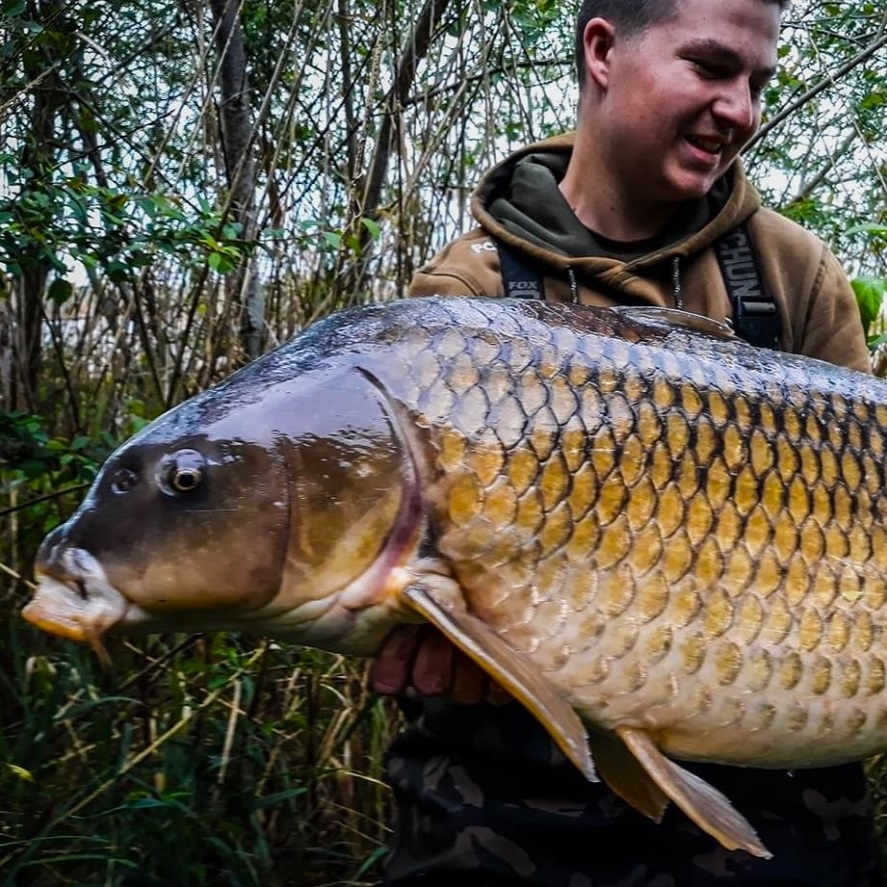 Lov kapra na jaře: tyto chyby nedělejte
