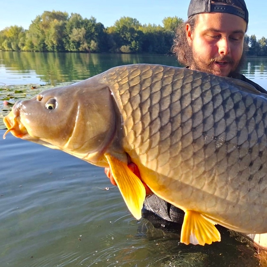 Jak na kapry v létě: tyhle nástrahy nezklamou