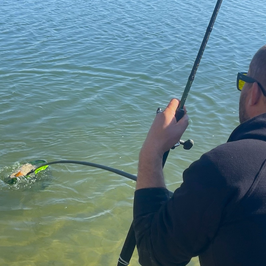 Method feeder: důvody, proč si method zamilujete