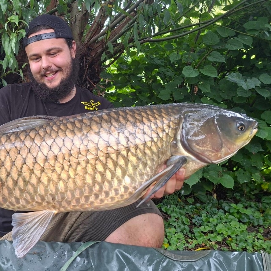 Účinný lov amura z hladiny: zkuste tenhle trik