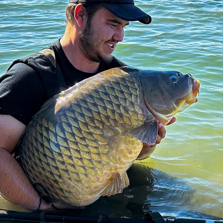Odpadávací montáž na kapry: jednoduchý návod