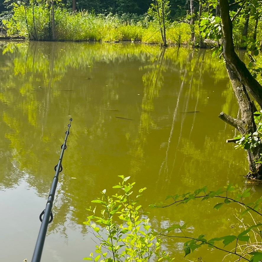 Prut na mlaskačku: ideální pro rybaření z hladiny
