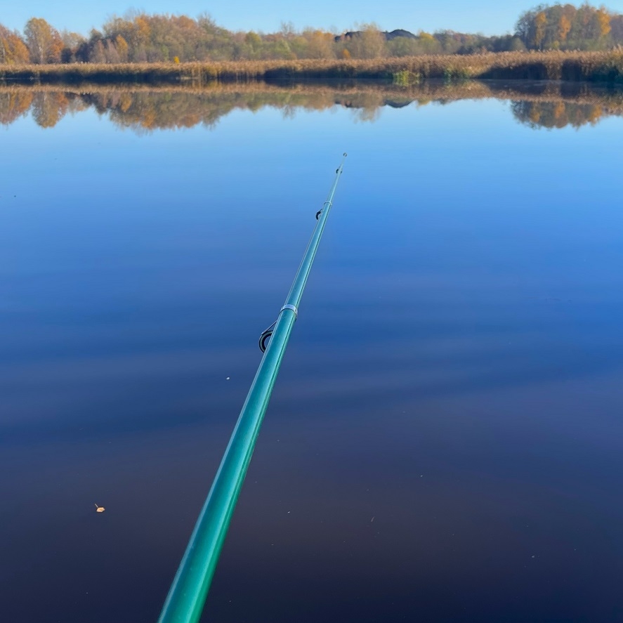 Pruty na kapry a další věci na krmítko: co potřebujeme