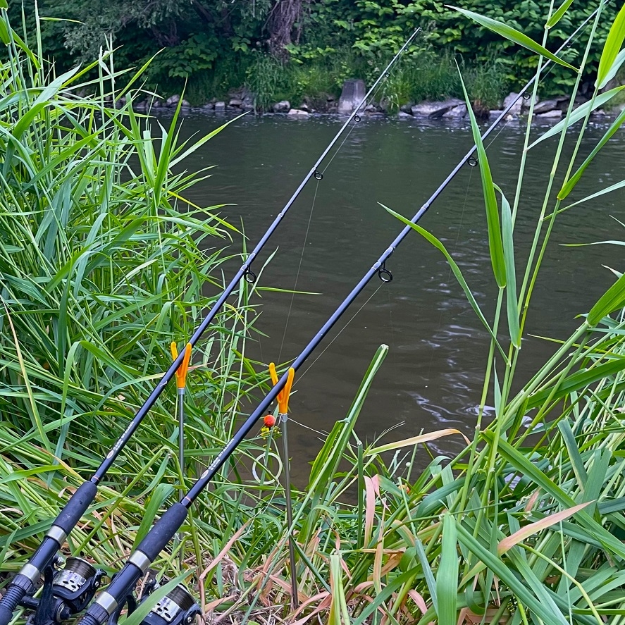 Rybaření na řece: důvody, proč to musíte zkusit