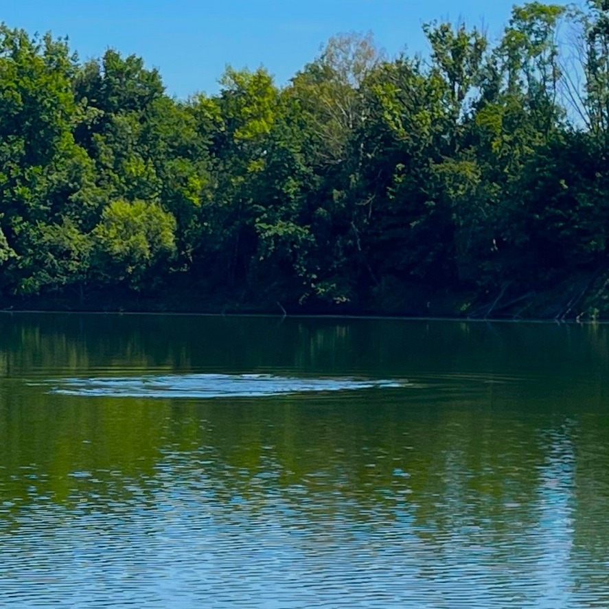 Jaké zvuky nejvíce plaší ryby? Zamyšlení rybáře