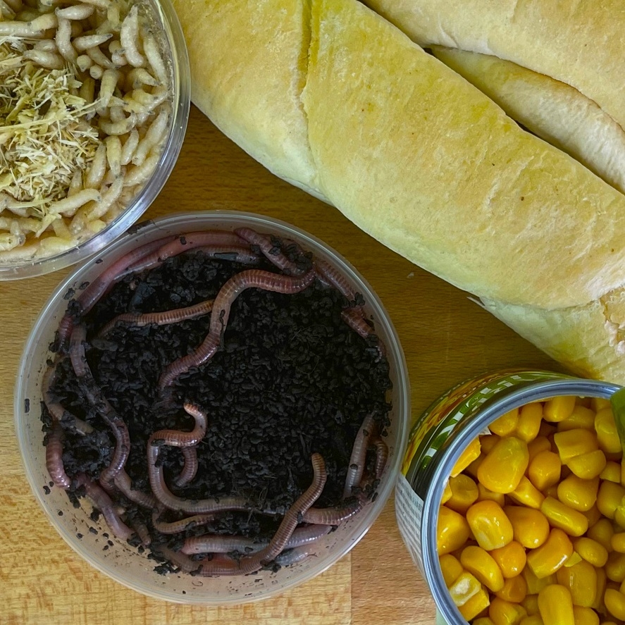 Rybaření na splávek: tradiční nástrahy na plavanou