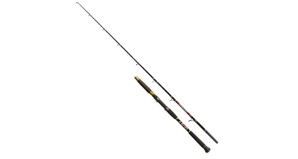 ARNO - Prut Poseidon 30 g 1,98 m
