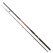 ARNO - Prut Regulus 2,4 m 40-80 g 2 díly