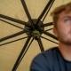 AVID - Brolly Revolve 60