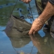 AVID - Kbelík na vodu PRO-Tect Water Bucket