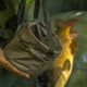 AVID - Kbelík na vodu PRO-Tect Water Bucket