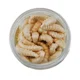 BERKLEY - Gumová nástraha PowerBait Honey Worms 2,5 cm 55 ks Natural