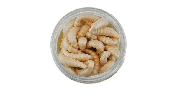 BERKLEY - Gumová nástraha PowerBait Honey Worms 2,5 cm 55 ks Natural