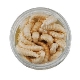 BERKLEY - Gumová nástraha vosí larva Powerbait Honey Worm 2,5 cm Natural 55 ks