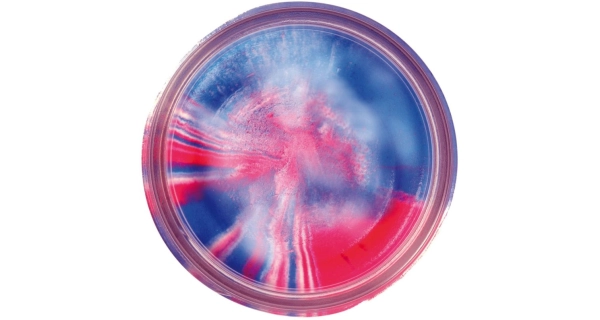 BERKLEY - Pstruhové těsto PowerBait Extra Scent 50 g Captain America