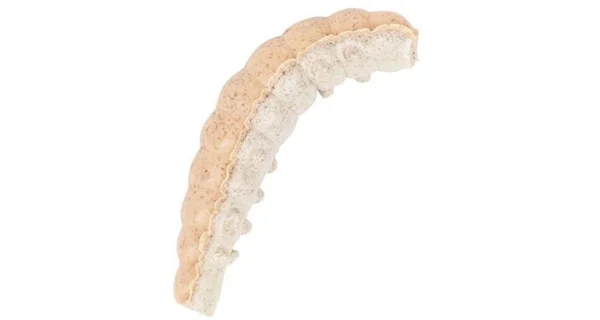 BERKLEY - Vosí larva PowerBait Honey Worm 2,5 cm 55 ks Oranžová perleť