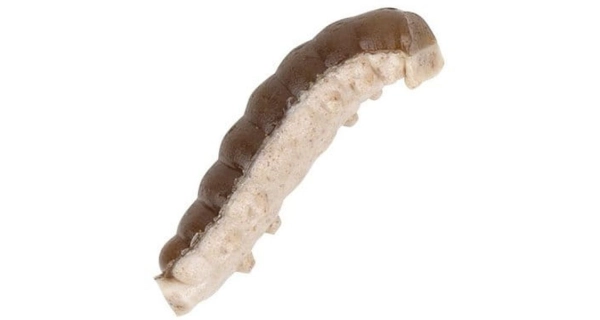 BERKLEY - Vosí larva PowerBait Honey Worm 2,5 cm 55 ks Šedá perleť