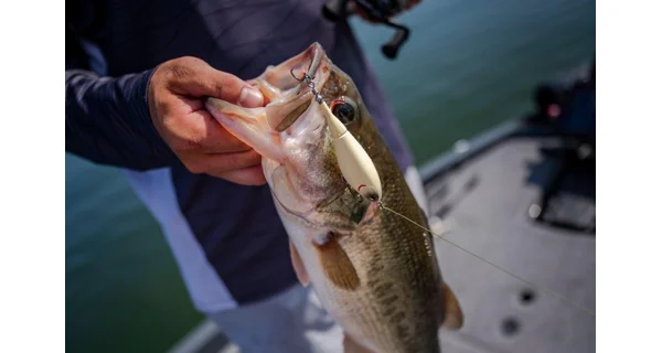 BERKLEY - Wobler Choppo Floating 12 cm 28 g MF Shad