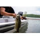 BERKLEY - Wobler Choppo Floating 12 cm 28 g MF Shad