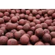 BLACK CARP - Boilies 24 mm 1 kg Ostružina