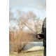 BLACK CAT - Prut Battle Cat Elite Vertical 1,9 m 240 g