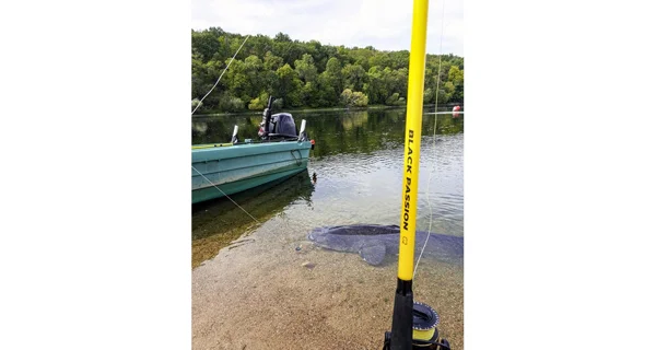 BLACK CAT - Prut Black Passion G2 Vertical 240 g 1,8 m