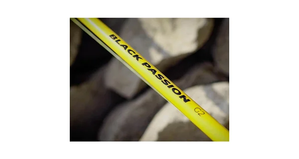 BLACK CAT - Prut Black Passion G2 Vertical 240 g 1,8 m