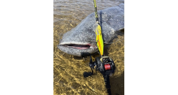 BLACK CAT - Prut Perfect Passion Allstar Cast 2,2 m 30-130 g
