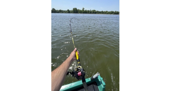 BLACK CAT - Prut Perfect Passion Allstar Cast 2,2 m 30-130 g