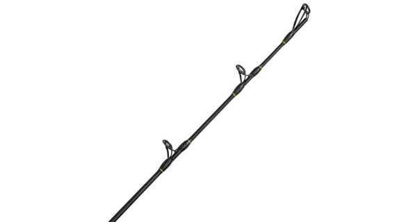 BLACK CAT - Prut Perfect Passion Allstar Cast 2,2 m 30-130 g
