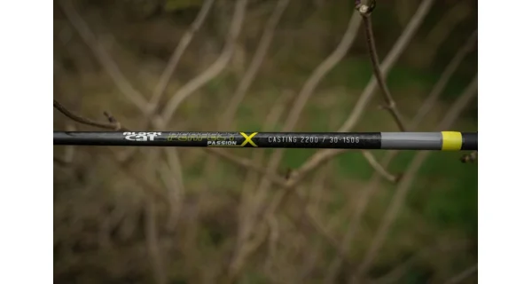BLACK CAT - Prut Perfect Passion X Casting 2,2 m 150 g 2 díly